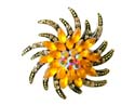 collectible fashion pin with yellow cz stone in the middle, design in flower shape 