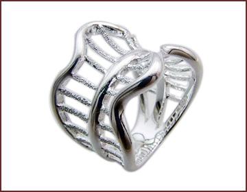 Jewelry accessories sterling silver ring with in fashion design